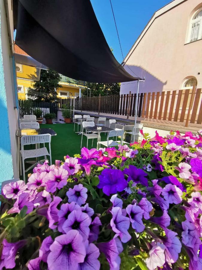 Balcsi Villa Balatonfüred Εξωτερικό φωτογραφία